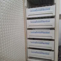 فریزر تک پارس