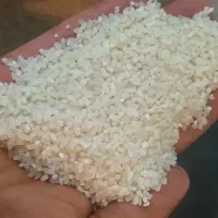 نیم دانه پاکستانی