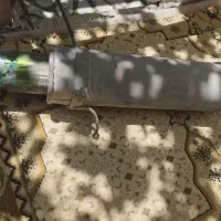 اکزوز
