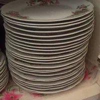 فروش بشقاب گل قرمز