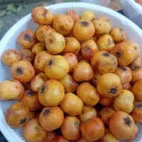 زالزالک