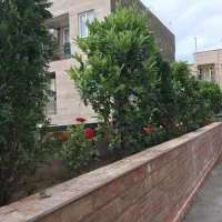 22 متر سندی 26 متر رویتی