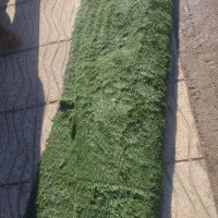 موکت چمن مصنوعی (کف پوش)|موکت|اسلام‌‌آباد غرب, |دیوار