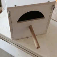 فروش لانه پرنده