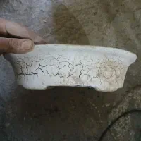 80عدد گلدان سفالی طرح دار پهن