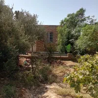 فروش باغ