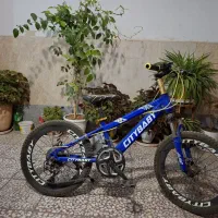 دوچرخه حرفه ای