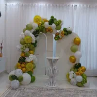 تم تولد و بادکنک آرایی شهر شادی سیرجان