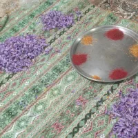 زعفرون تازه