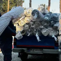 قالیشویی و مبل شویی آوازه