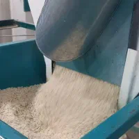برنج دره رود