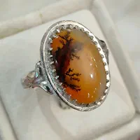 شجر پرتقالی رنگ زیبا و کم یاب