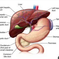 آکادمی دکتر جهانی (کلاس زیست وشیمی ومشاوره)