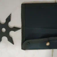 شوریکن(ستاره پرتابی نینجا)