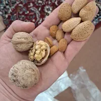 گردو و بادام تحویل درب منزل|خوردنی و آشامیدنی|شاهین‌شهر, شهرک گلدیس|دیوار