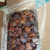 خرما خاصوی بهترین خرما|خوردنی و آشامیدنی|جم, |دیوار