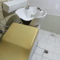 سرشور