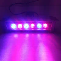 چراغ وال واشر  رشد گیاه یا نورپردازی