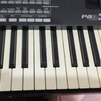 ارگ pa3x|پیانو، کیبورد، آکاردئون|قائم‌شهر, |دیوار