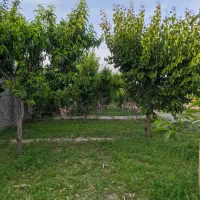 فروش-باغ-موقعیت-عالی