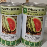 بزر هندوانه باوسایل کامل آبیاری