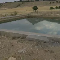 باغ 2 هکتاری در روستای زرند قیدار|فروش زمین و ملک کلنگی|سجاس رود, |دیوار