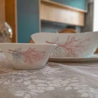 آرکوپال ۱۲ نفره|ظروف سرو و پذیرایی|کرج, فاز ۵ مهرشهر|دیوار