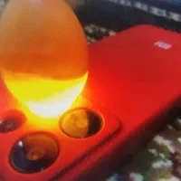 فروشی|کلکسیون اشیاء عتیقه|تهران, میدان میوه و ترهبار مرکزی|دیوار