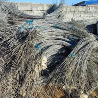 فروش سیم گالوانیزه تونلی