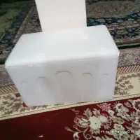 باکس یخدون|ظروف نگهدارنده، پلاستیکی، یک‌بارمصرف|بم, |دیوار