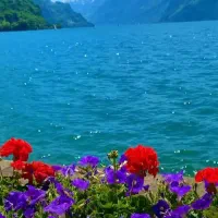 اجاره خانه دو طبقه برای دو خانواده
