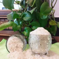 برنج طارم محلی|خوردنی و آشامیدنی|تهران, شهرک امید|دیوار