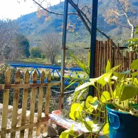 اجاره مغازه در بهترین لوکیشن لیلاکوه|اجارهٔ مغازه و غرفه|لنگرود, |دیوار