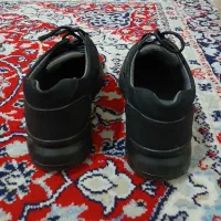 کفش مردانه راحتی|کیف، کفش، کمربند|اردبیل, |دیوار