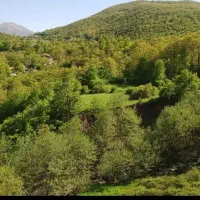 زمین فروشی