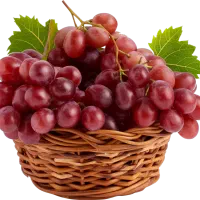 پیوند درختان میوه|خدمات باغبانی و درختکاری|بهشهر, |دیوار
