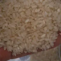 برنج کامفیروزز اصل مخصوص خاص پسندها