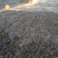 کود مرغی ،زل|خدمات باغبانی و درختکاری|فلاورجان, |دیوار