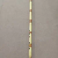 نی سل