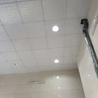 هم-خانه-همخونه-خانوم
