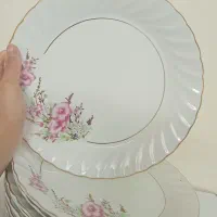 ۱۲ عدد بشقاب چینی گل صورتی|ظروف سرو و پذیرایی|فولادشهر, A3|دیوار