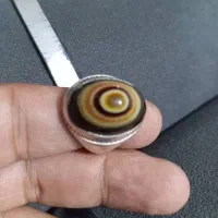 سلیمانی سه پوست منظم