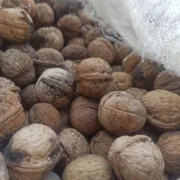 گردو تازه روغنی پوست کاغذی تویسرکان|خوردنی و آشامیدنی|محمدشهر, محمدشهر|دیوار