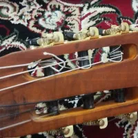 گیتار|گیتار، بیس، امپلیفایر|قم, دروازه ری|دیوار