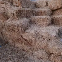 ۱۱۱|لوازم جانبی حیوانات|هیر, |دیوار