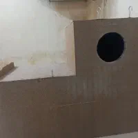 لونه کاسکو و طوطی