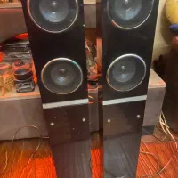 دو عدد باند سالم