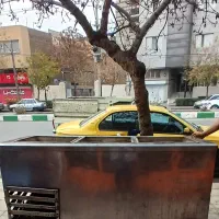 فریزر صندوقی