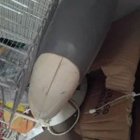 اتوپرس مارک عرشیا