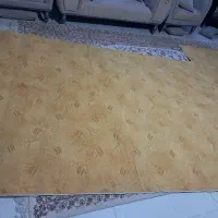 موکت|موکت|چالوس, |دیوار
